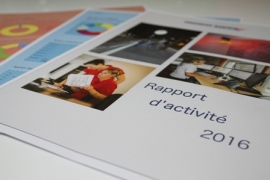 Rapports d&#039;Activité